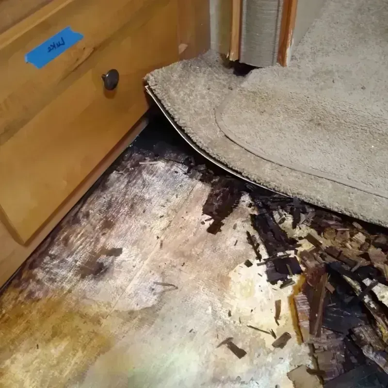 Best Wood Floor Water Damage Service in Lower West Side, IL